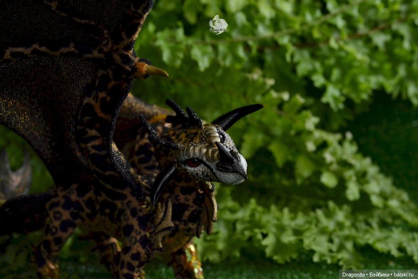 Бергарис. Индонезийский пятнистый дракон