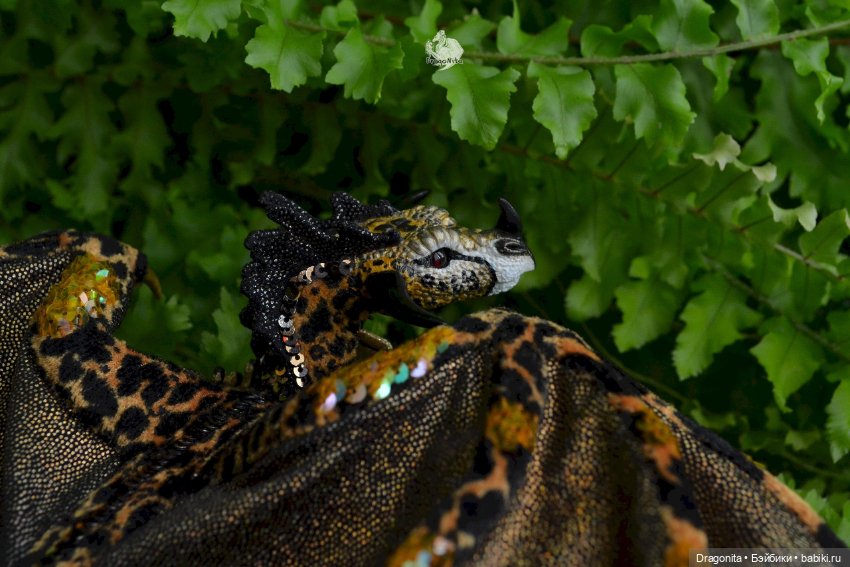 Бергарис. Индонезийский пятнистый дракон (фото 3)