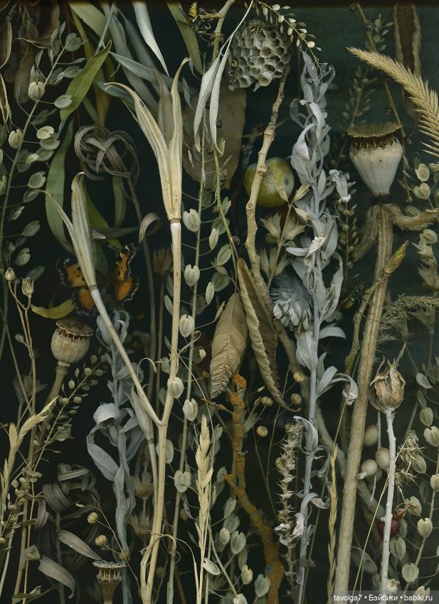 Мягкие цвета на границе лета-осени (фото 9)