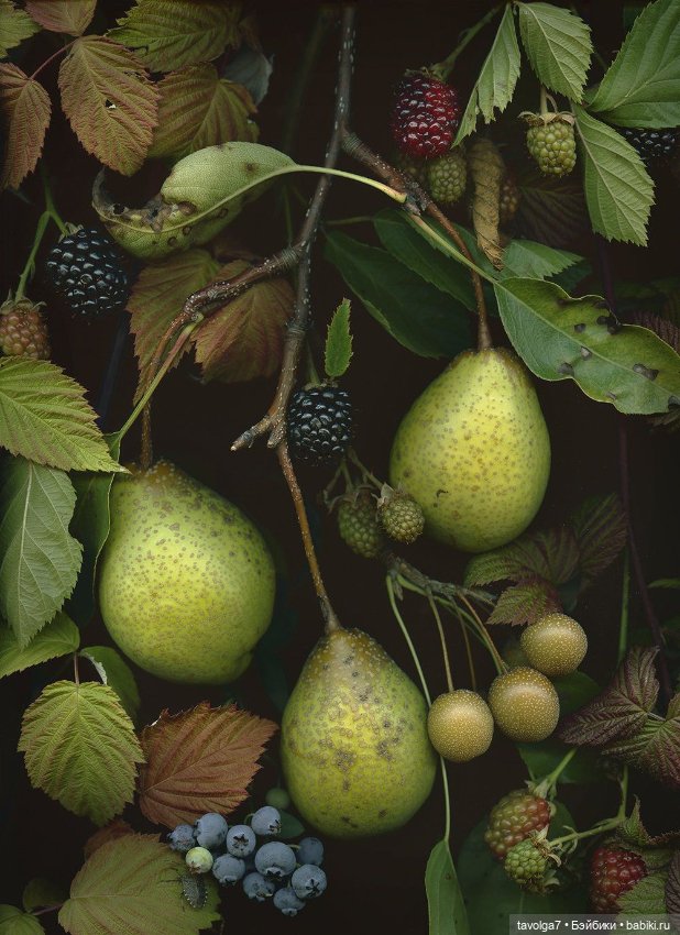 Мягкие цвета на границе лета-осени (фото 10)