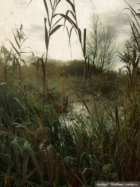 Мягкие цвета на границе лета-осени (фото 8)