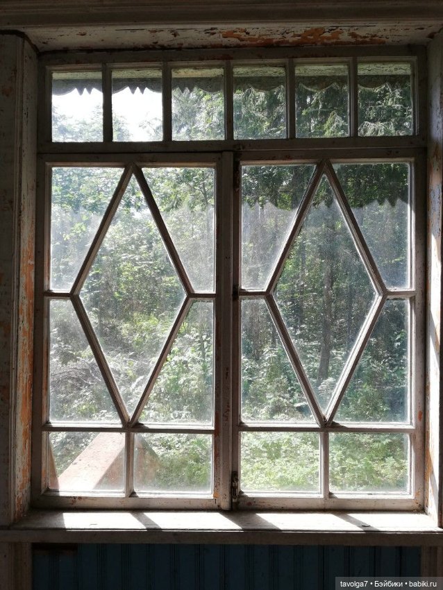 Мягкие цвета на границе лета-осени (фото 2)