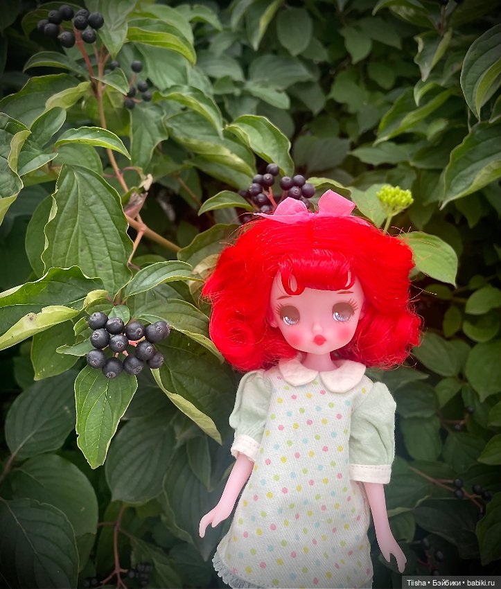 Jjorori корейская авторская куколка (фото 9)