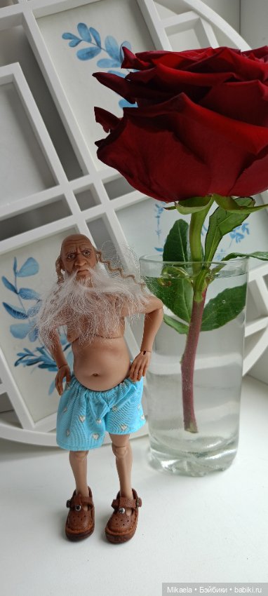 Один летний день Петровича