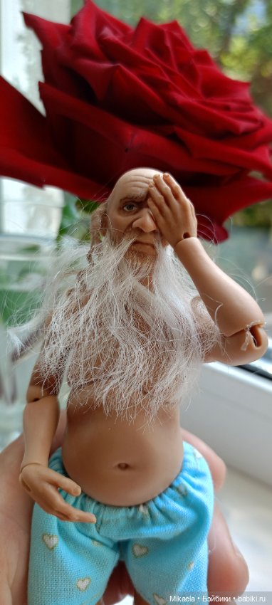 Один летний день Петровича