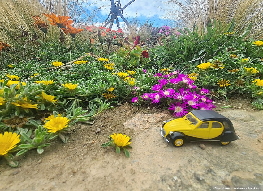 В погоне за солнцем — Туризм и путешествия: фотоотчеты из поездок