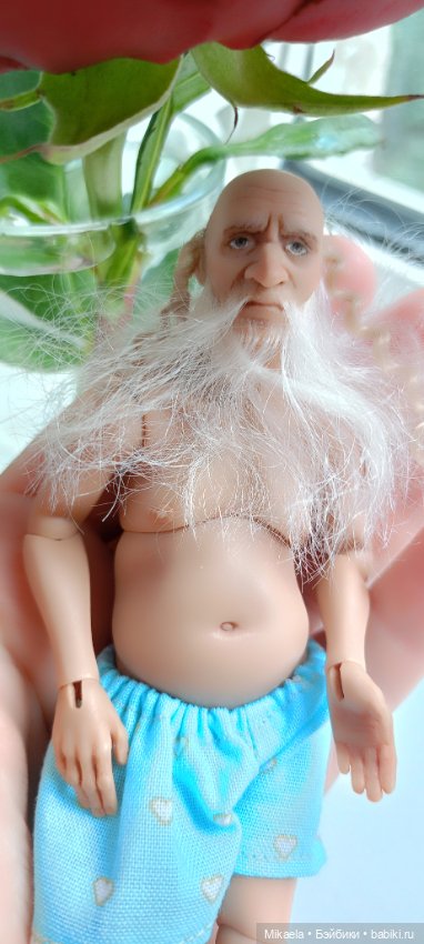 Один летний день Петровича