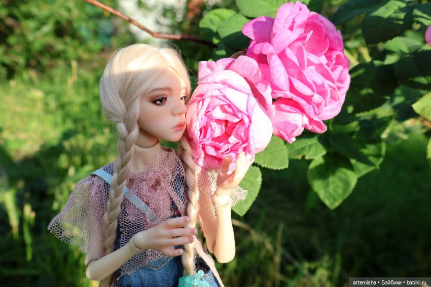 Птичка, давно ее не было ) (фото 3)