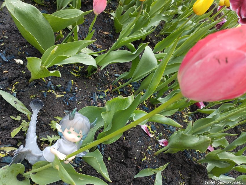 Креветко гуляет — Куклы Penny's Box (Пенни Бокс): кентавры Antu (фото 2)