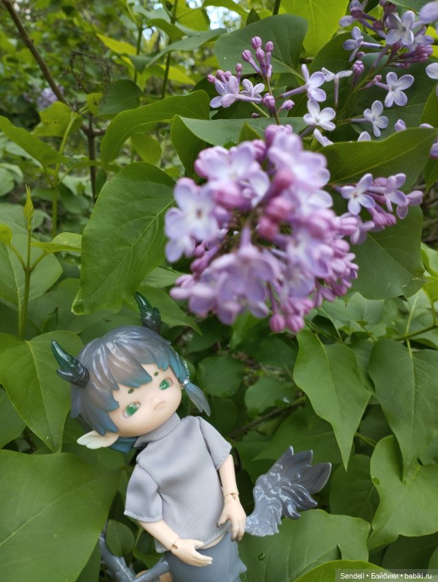 Креветко гуляет — Куклы Penny's Box (Пенни Бокс): кентавры Antu (фото 4)