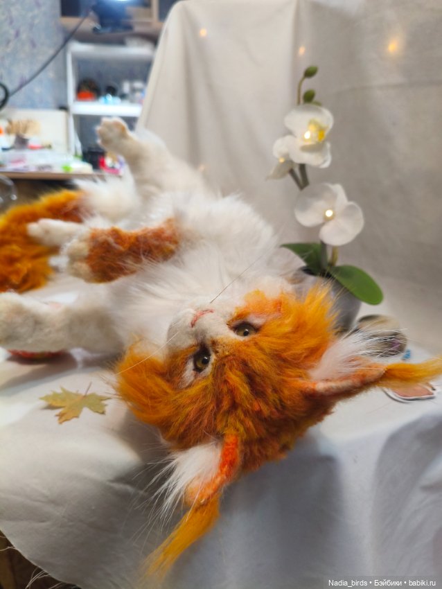 Уилфред. Спокойное достоинство (фото 4)