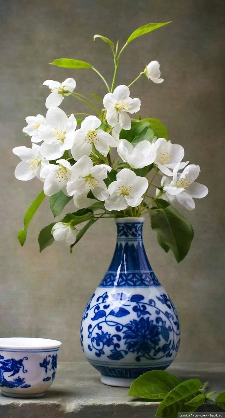 Зелёный чай - как цвет — Болталка и разговоры обо всем: жизнь (фото 9)