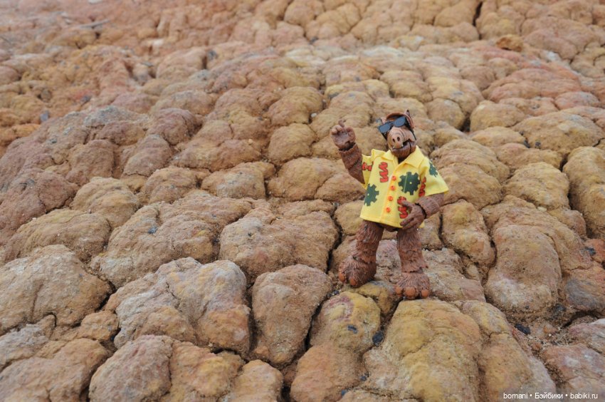 Записки бывалого межгалактического путешественника (фото 9)