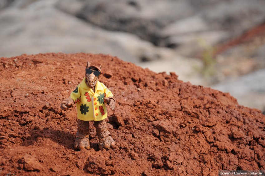 Записки бывалого межгалактического путешественника (фото 4)