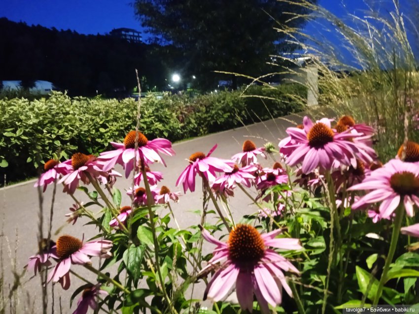 Малютка Mattel у реки — Куклы Mattel (Маттел) разное: Enchantimals