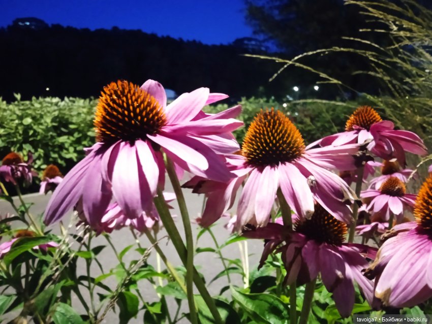 Малютка Mattel у реки — Куклы Mattel (Маттел) разное: Enchantimals