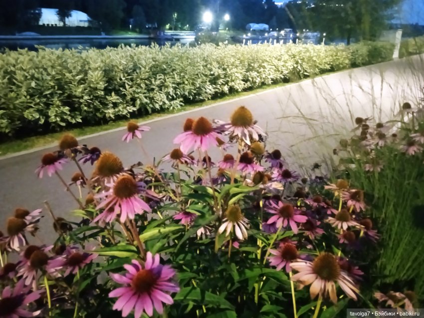 Малютка Mattel у реки — Куклы Mattel (Маттел) разное: Enchantimals