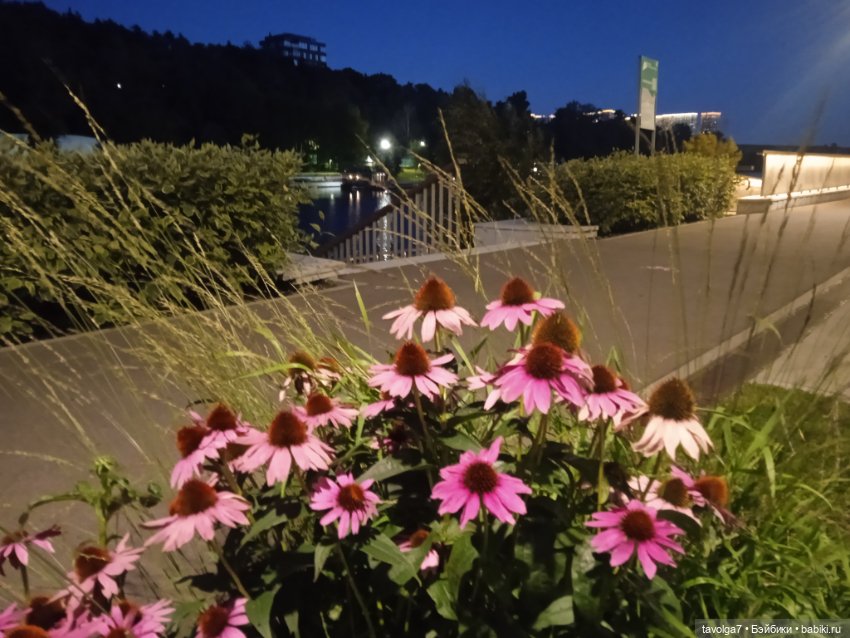 Малютка Mattel у реки — Куклы Mattel (Маттел) разное: Enchantimals