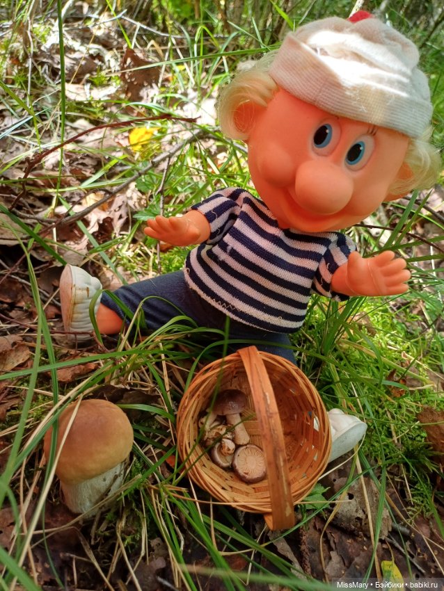 Как дядя Увэ за грибами ходил (фото 9)