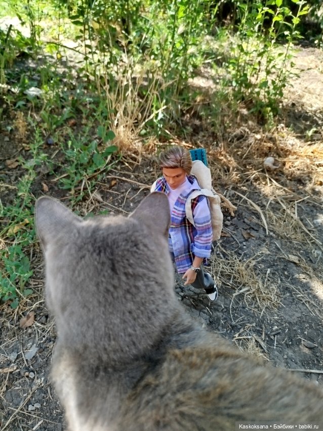 Вот эта улица, вот этот дом (фото 3)