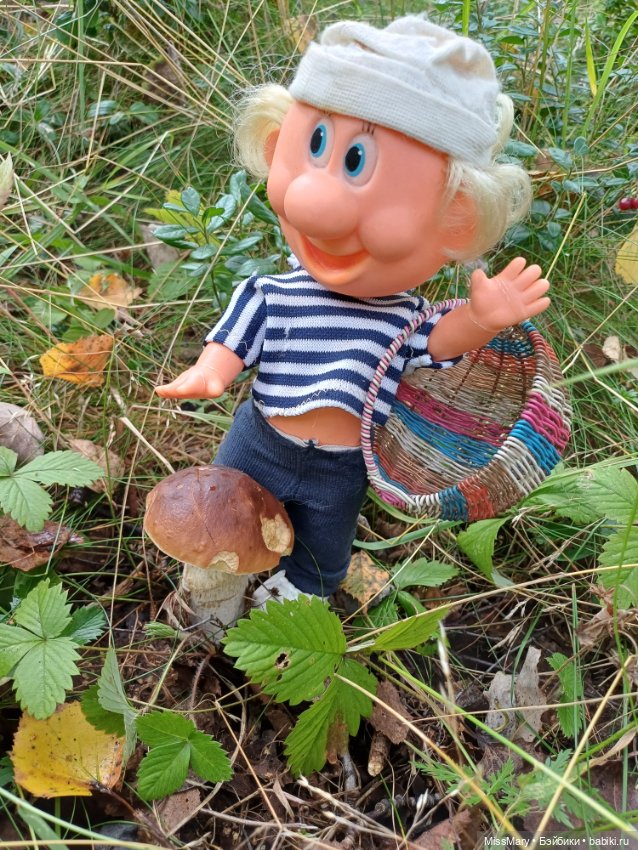 Как дядя Увэ за грибами ходил