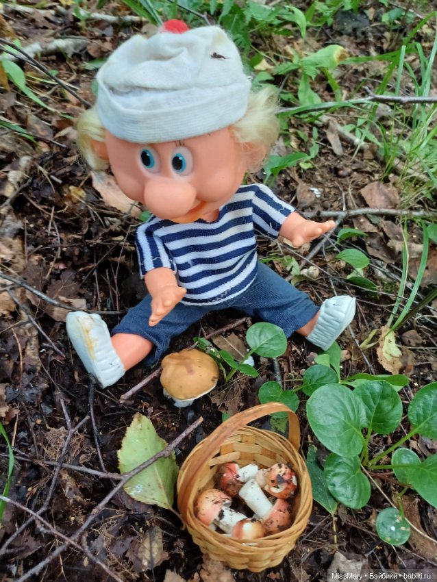 Как дядя Увэ за грибами ходил