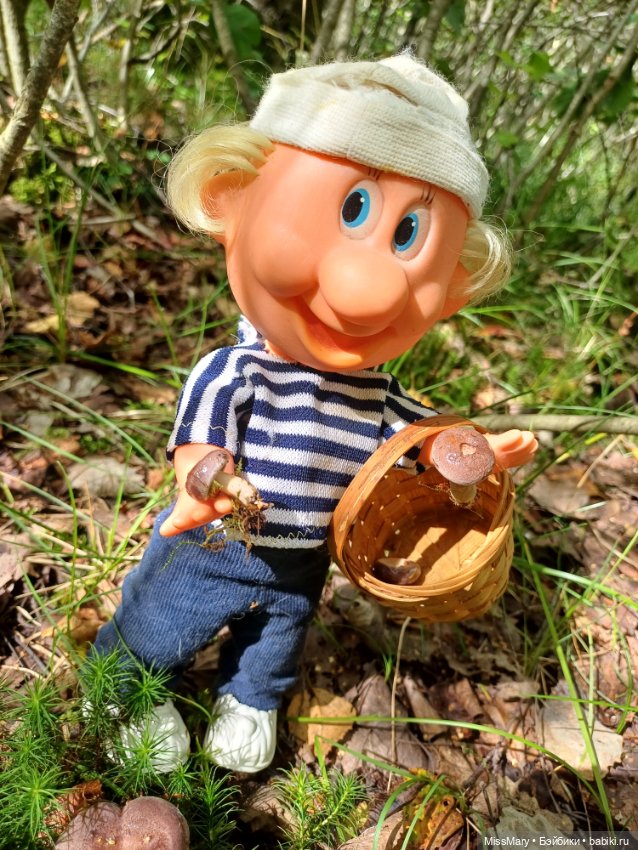 Как дядя Увэ за грибами ходил (фото 6)