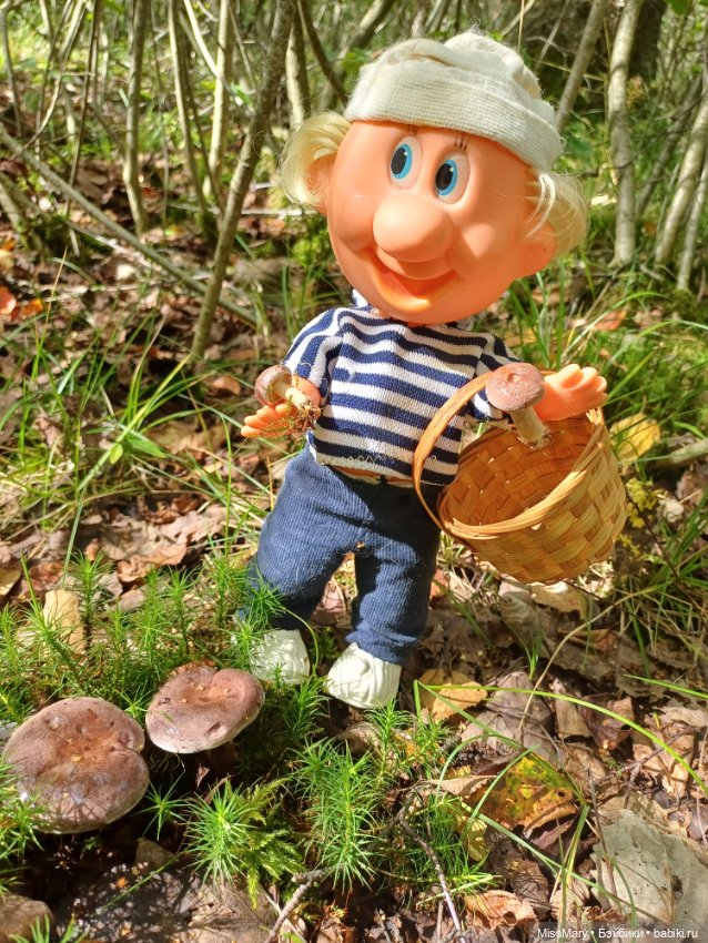 Как дядя Увэ за грибами ходил (фото 8)