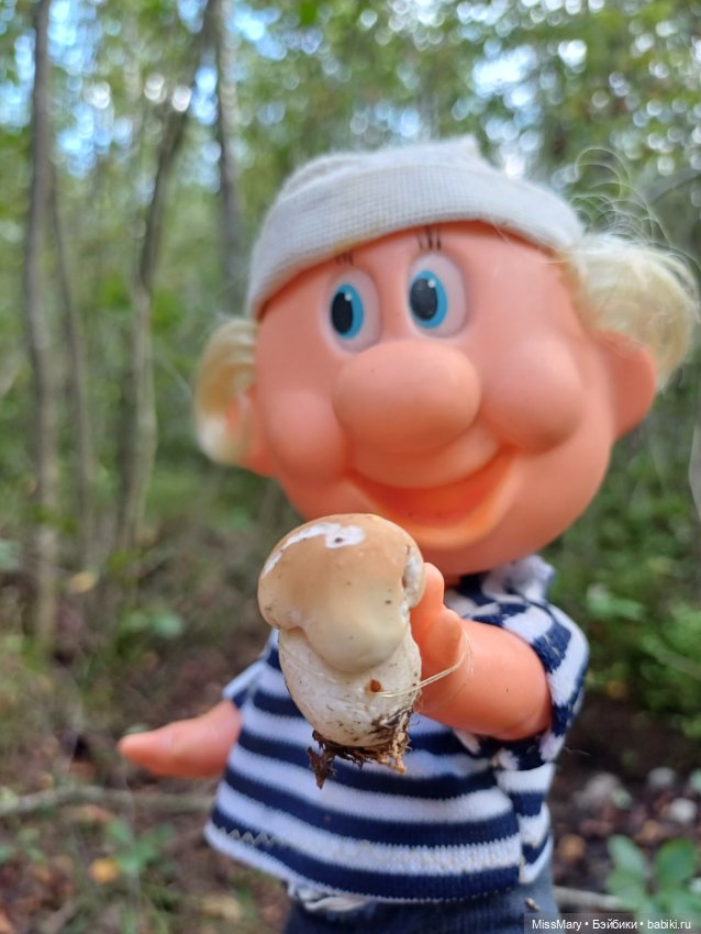 Как дядя Увэ за грибами ходил (фото 10)