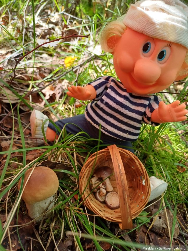 Как дядя Увэ за грибами ходил