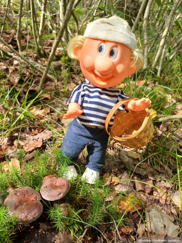 Как дядя Увэ за грибами ходил (фото 5)