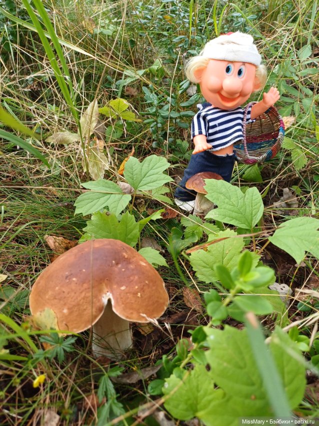 Как дядя Увэ за грибами ходил (фото 2)