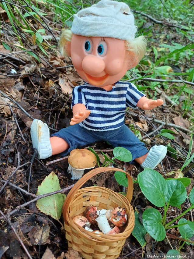 Как дядя Увэ за грибами ходил