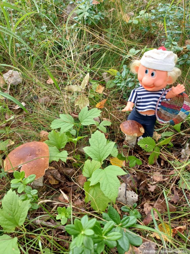 Как дядя Увэ за грибами ходил (фото 4)