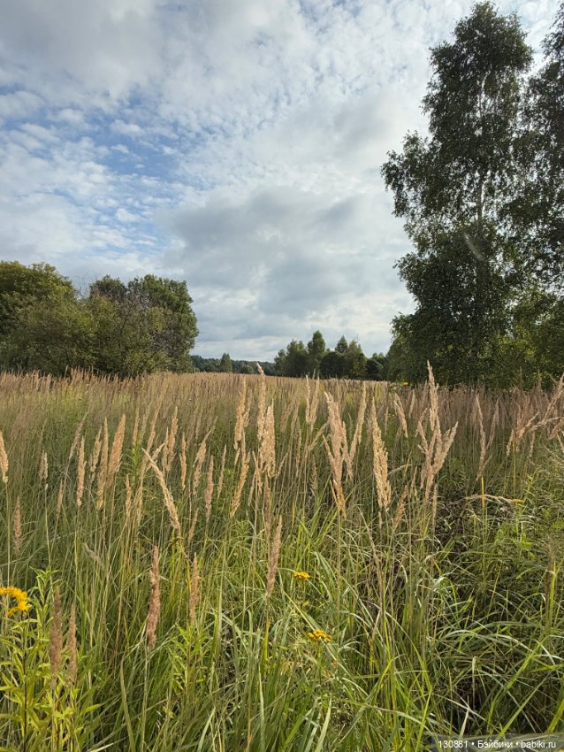 Авторские девы Саши Головиной