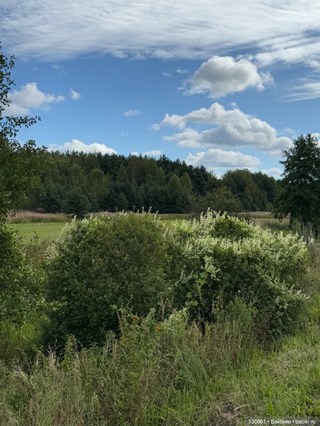 Авторские девы Саши Головиной