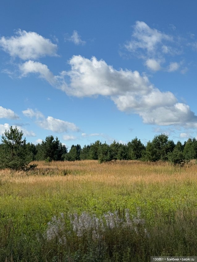 Авторские девы Саши Головиной