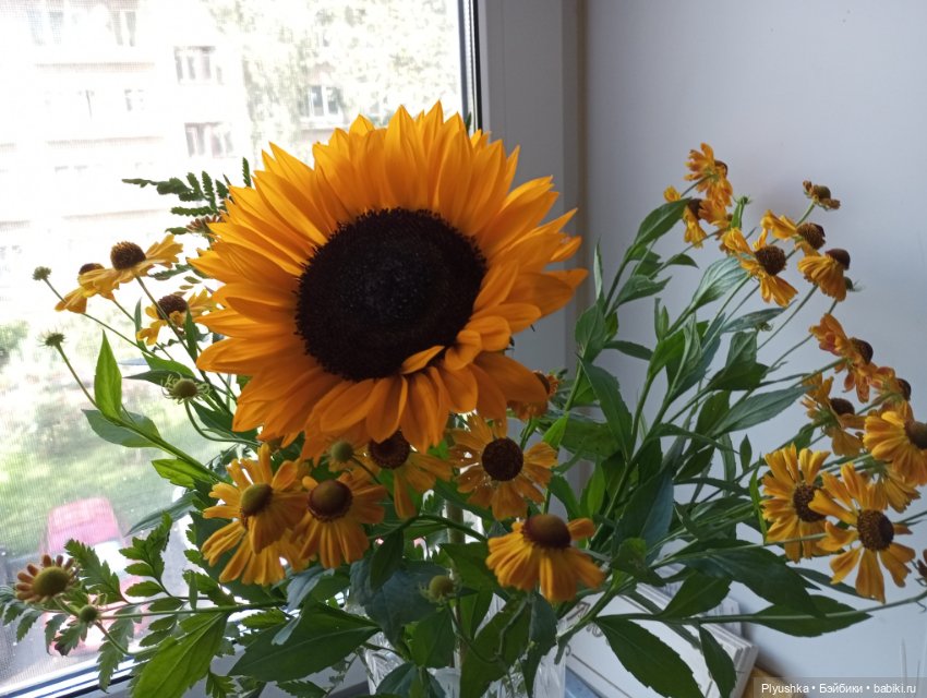 Девочки и букеты — Коллекции игровых кукол (Playline): фото полок (фото 8)