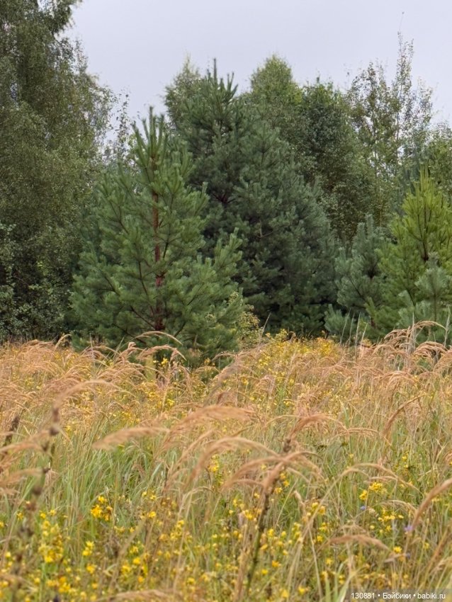 Авторские девы Саши Головиной