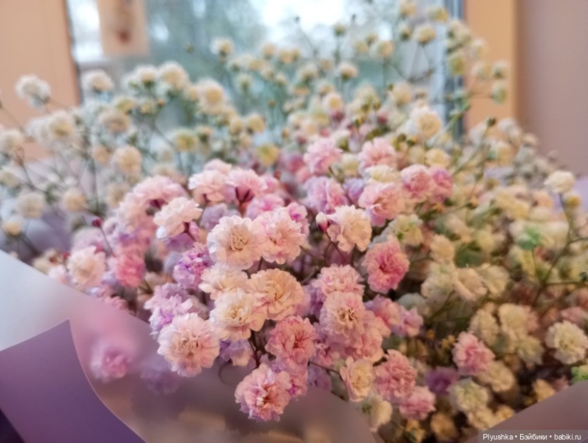 Девочки и букеты — Коллекции игровых кукол (Playline): фото полок (фото 2)