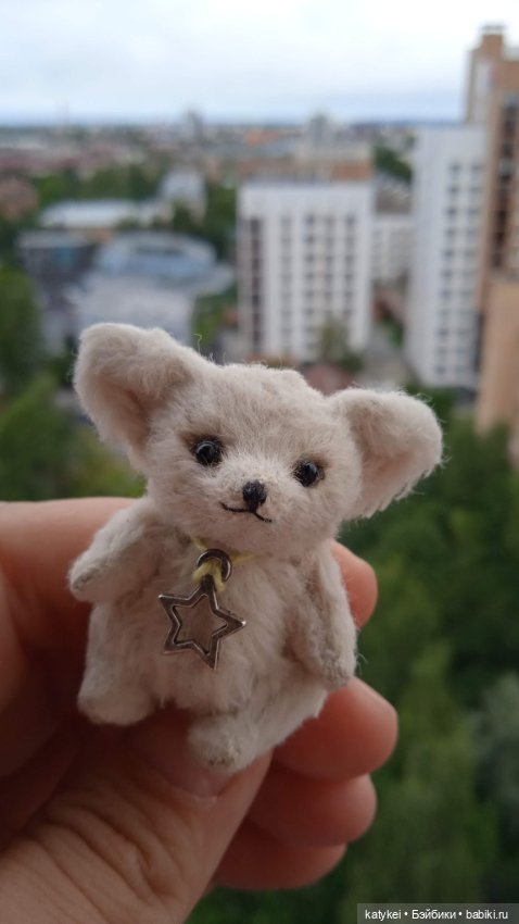 Маленький лисёнок на большой высоте (фото 6)