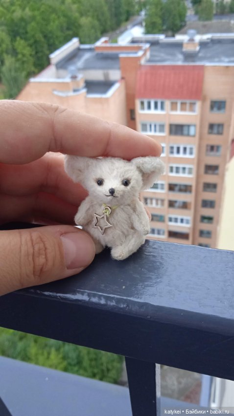 Маленький лисёнок на большой высоте (фото 3)