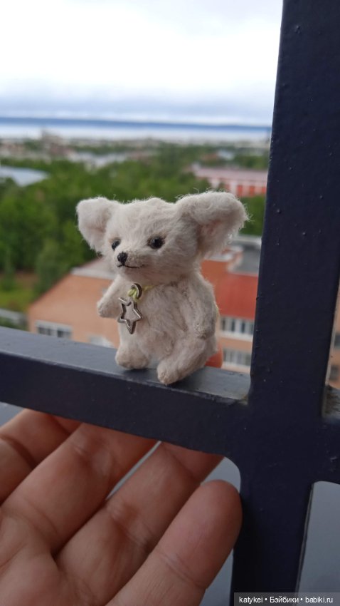 Маленький лисёнок на большой высоте (фото 8)