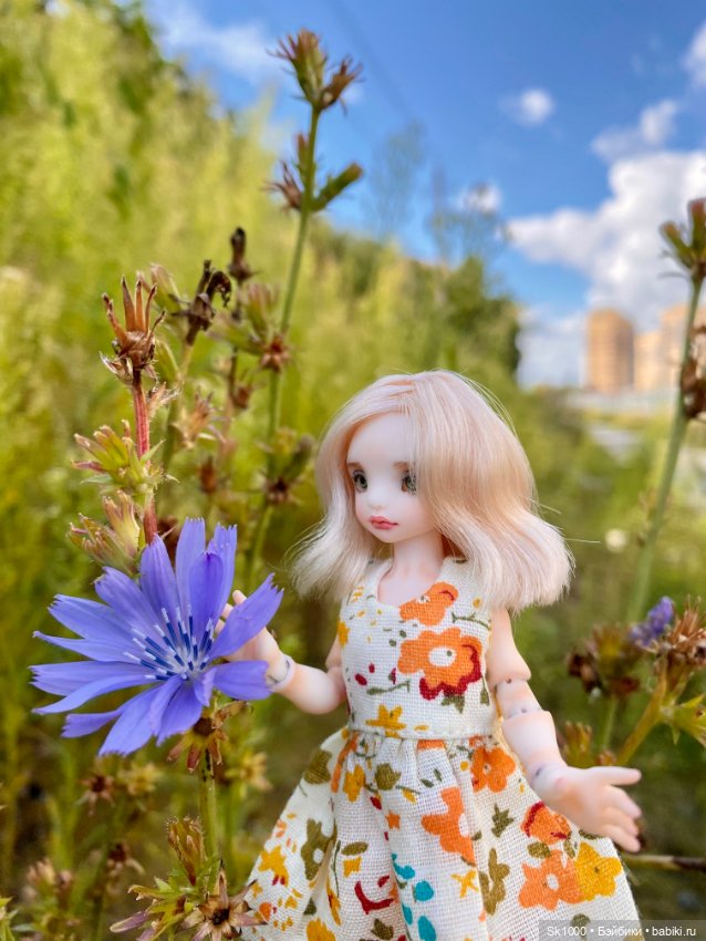 Мини и микро куколки — Разные куклы BJD (БЖД): редкие бренды (фото 7)