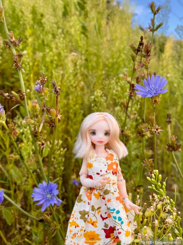 Мини и микро куколки — Разные куклы BJD (БЖД): редкие бренды (фото 3)