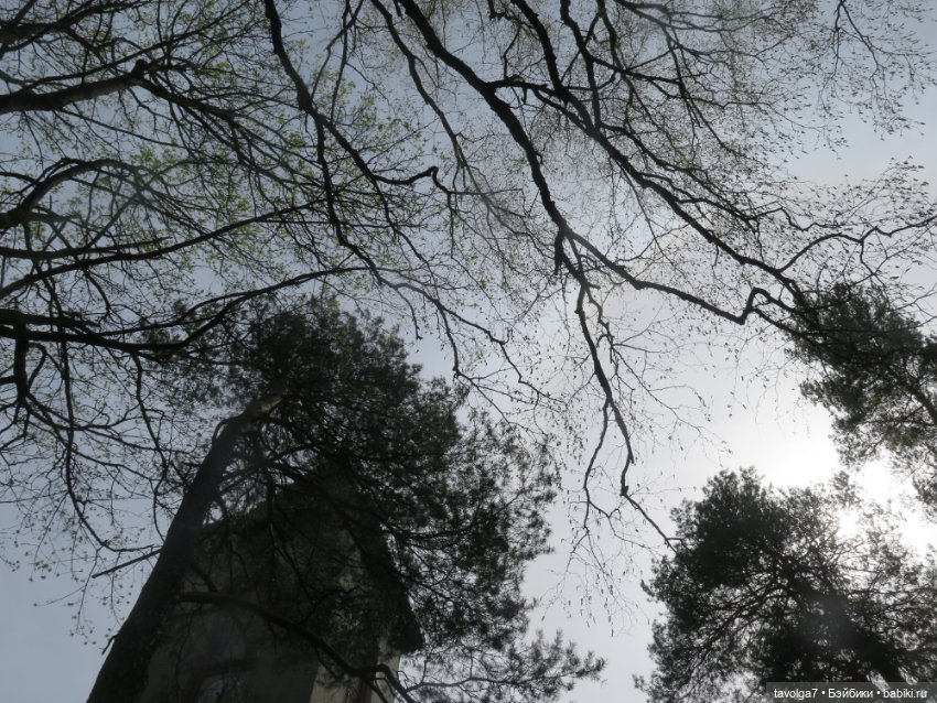 Modern Circle Melody 2003 на Балтике - 4