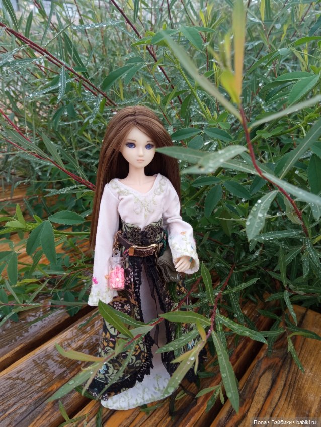 Травница — Куклы и тела Obitsu (Обитсу): 1/6 (фото 3)