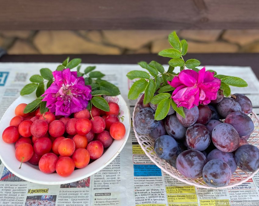 Новая шапка для Али — Куклы Irrealdoll (Ирреалдолл): BJD (БЖД)