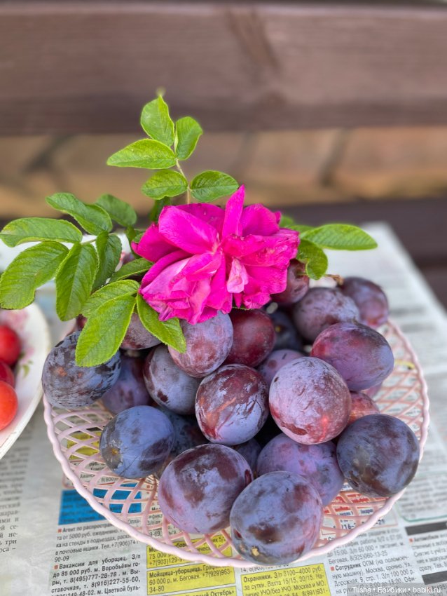 Новая шапка для Али — Куклы Irrealdoll (Ирреалдолл): BJD (БЖД)