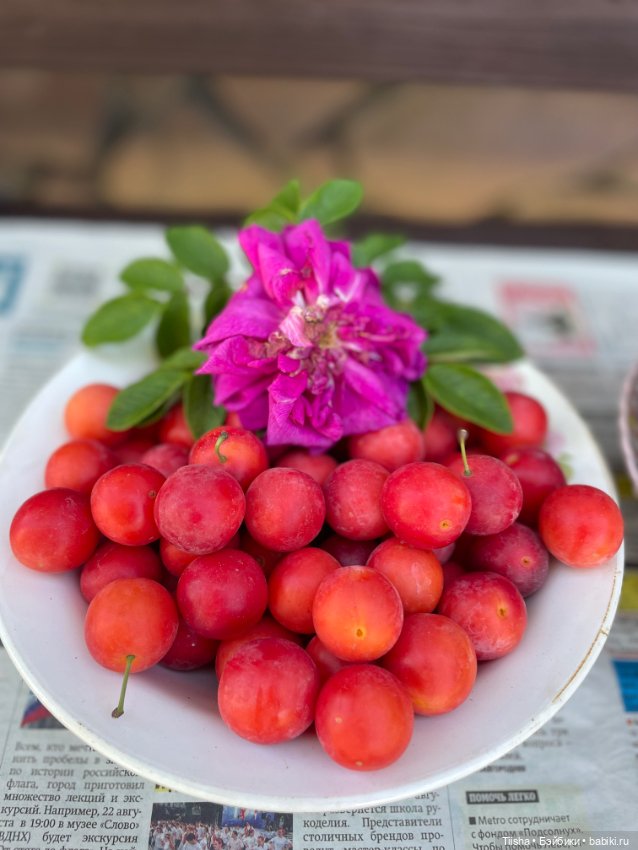 Новая шапка для Али — Куклы Irrealdoll (Ирреалдолл): BJD (БЖД)